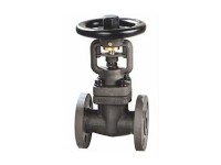 Forged steel bellows globe valve