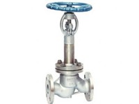 Cryogenic valve