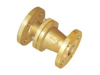 Check valve