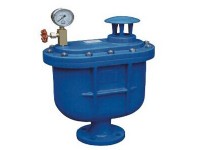 Compound type exhaust valve