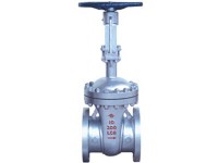 Pound grade Cryogenic Gate Valve