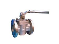 (Mei Biao) card sleeve soft sealing plug valve