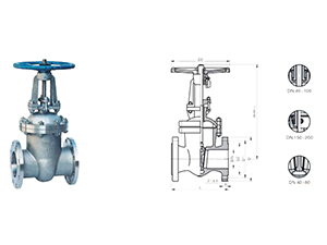Wedge gate valve