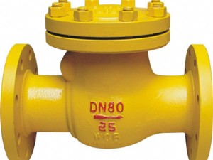 Swing check valve for ammonia H44FB