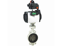 D371X/P1, D671X/P1, D971X/P1 on the special butterfly valve