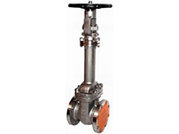 Bellows gate valve WZ40H-40