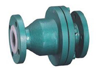 Fluorine swing check valve H44F46