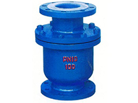 H41J/FS type lining fluorine check valve